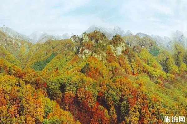 <a href='/dandong/' target=_blank>丹東</a>天<a href='/jingdian/105898' target=_blank>華山</a>景區(qū)介紹 開(kāi)放時(shí)間+地址
