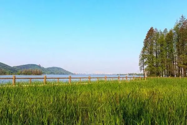 東湖落雁島游玩攻略 交通、門(mén)票、怎么玩等信息都在這了